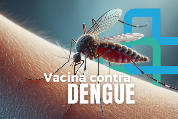 Mosquito da Dengue combatido pela Dr. Vaccinum em Anápolis